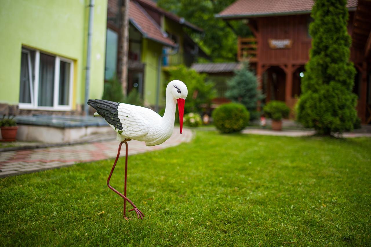 Pensiunea George Gura Rîului Exterior foto